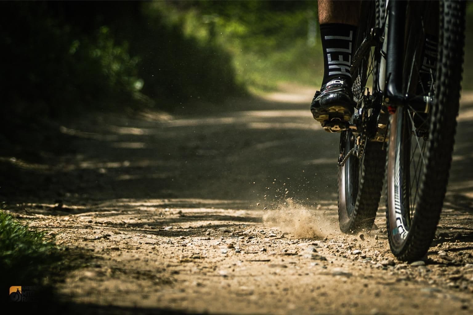 MTB Race 2024